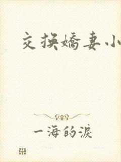 交换娇妻小说
