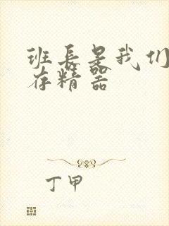 班长是我们班的存精器封面