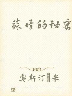 苏晴的秘密小说