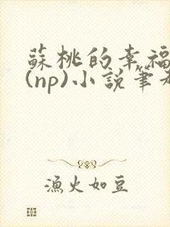 苏桃的幸福生活(np)小说笔趣阁