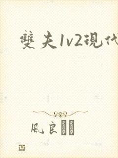 双夫1v2现代