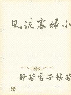风流寡妇小说