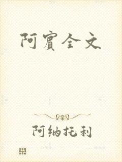 阿宾全文