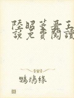 陆昭菱晋王的小说免费阅读