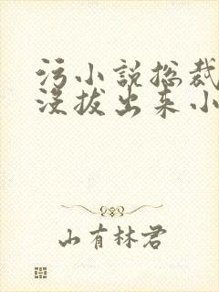 污小说总裁整夜没拔出来小说在线阅读