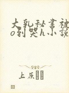 大乳秘书被cao到哭h小说