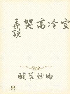 弄哭高冷室友小说