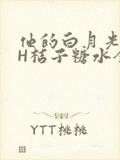 他的白月光HVH桔子糖水全文