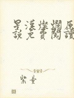 星汉灿烂原著小说免费阅读