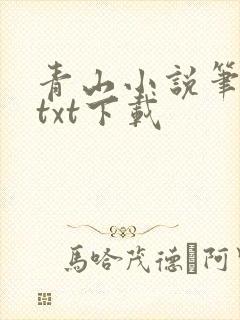 青山小说笔趣阁txt下载