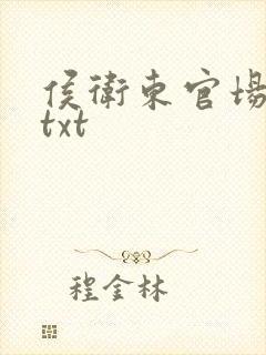 侯卫东官场笔记txt