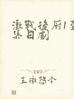 激战后厨1至5集日剧