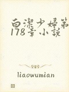 白洁少妇第1一178章小说