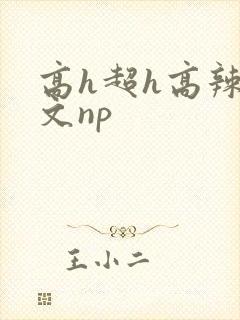 高h超h高辣h文np