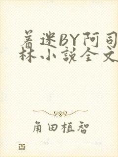 着迷BY阿司匹林小说全文免费阅读