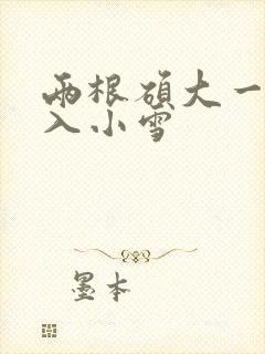 两根硕大一起挤入小雪