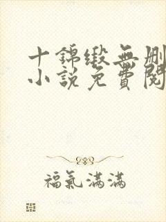 十锦缎无删原著小说免费阅读