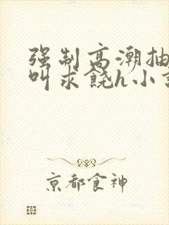 强制高潮抽搐哭叫求饶h小说