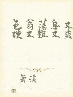 色翁荡息又大又硬又粗又爽