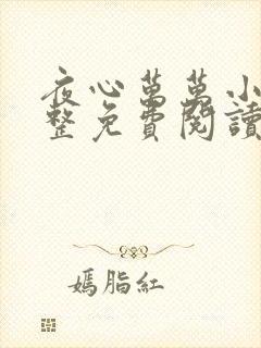 夜心万万小说完整免费阅读全文