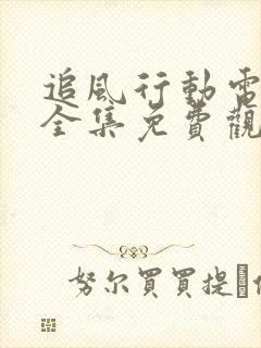 追风行动电视剧全集免费观看