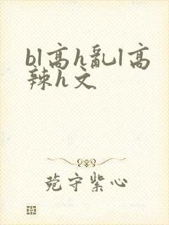 bl高h乱l高辣h文