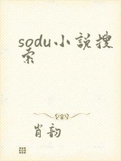 sodu小说搜索