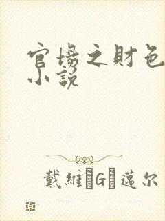 官场之财色诱人小说