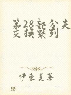 第28部分夫妇交换系列