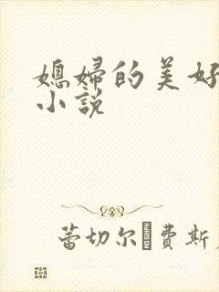 媳妇的美好时代小说