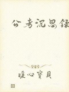 公考沉思录