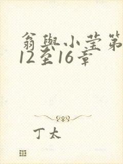 翁与小莹第十部12至16章