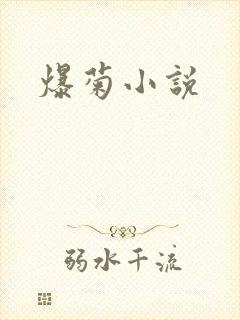 爆菊小说