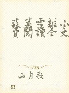 苏莱霍离小说免费阅读全文