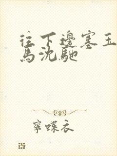 往下边塞玉器骑马沈驰