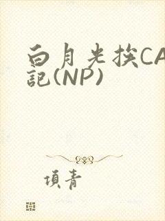 白月光挨CAO记(NP)