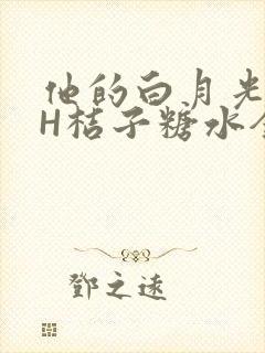他的白月光HVH桔子糖水全文