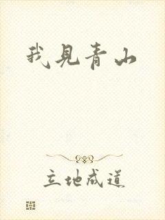 我见青山