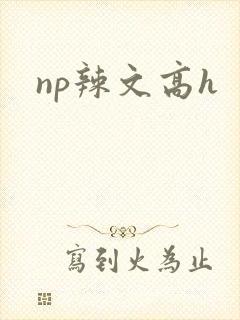 np辣文高h