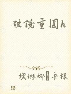 破镜重圆h