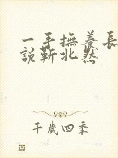 一手抚养长大小说靳北然