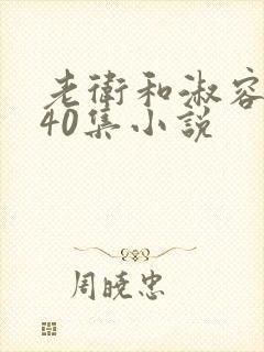 老卫和淑容1-40集小说