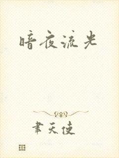 暗夜流光