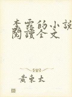 李霖的小说免费阅读全文