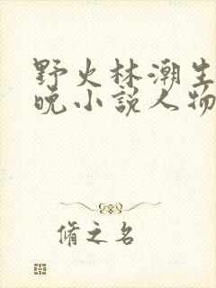 野火林潮生林晚晚小说人物野火