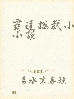 霸道总裁小娇妻小说