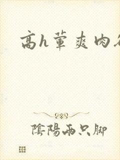 高h荤爽肉欲文
