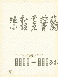 绝对掌控苏绵绵小说免费阅读全文