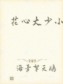 花心大少小说