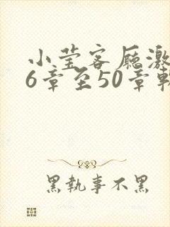 小莹客厅激情46章至50章软件介绍